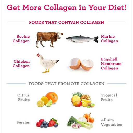 foods contain collagen