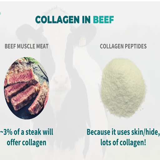 Collagen from meat