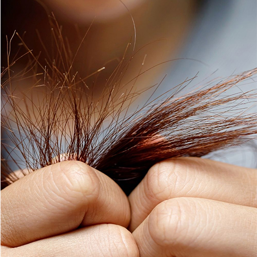 Girl showing her split ends hair